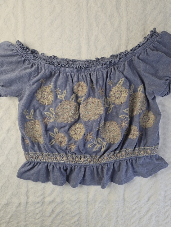 American Eagle Outfitters Tops - American Eagle Crop Top Blue Embroidered Floral Off Shoulder Short Sleeve M